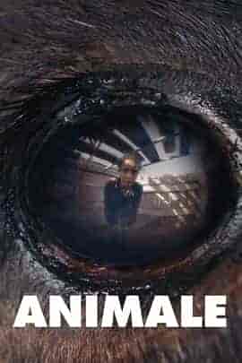 兽性 Animale 兽性 Animale