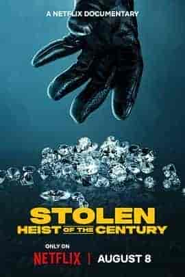 不翼而飞:世纪大劫案 Stolen: Heist of the Century