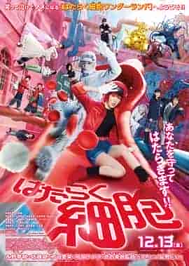 工作细胞 真人版 はたらく細胞 工作细胞 真人版 はたらく細胞