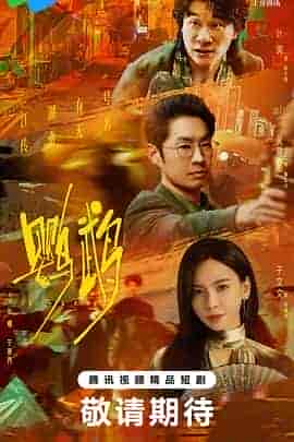 鹦鹉 鹦鹉