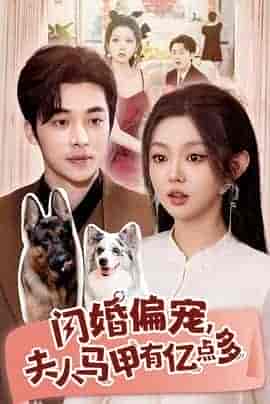 闪婚偏宠,夫人马甲有亿点多
